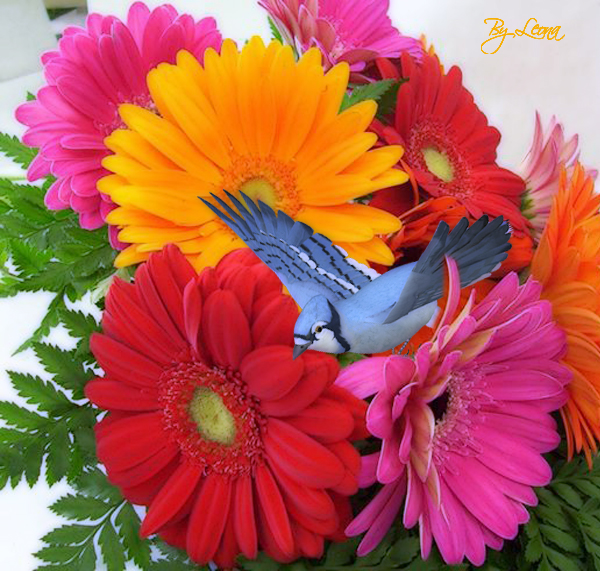 flor de colores - Centerblog